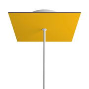 Rosone Rose-One quadrato, 200 mm con 1 foro e 4 fori laterali - Mostarda Bianco