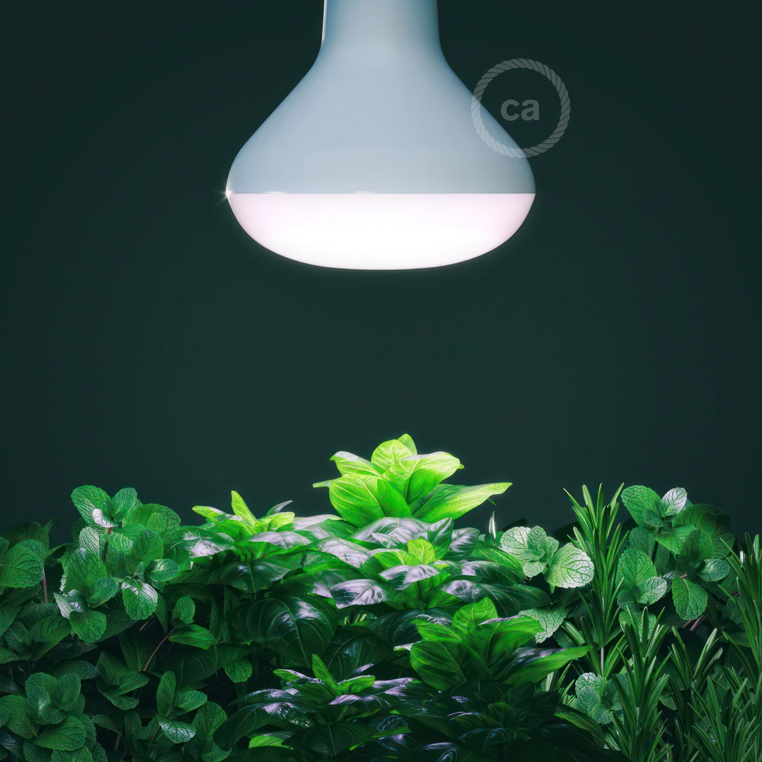 LED žarnica za gojenje rastlin 12W E27