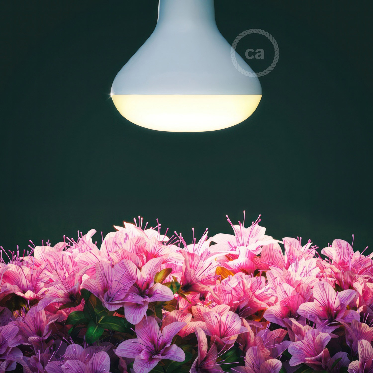 LED žarnica za gojenje cvetočih rastlin 12W E27
