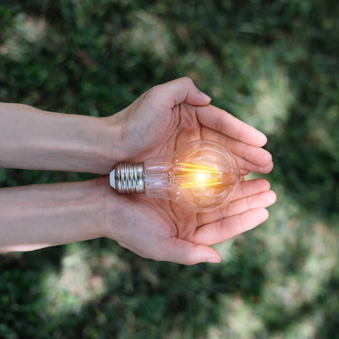 <strong>Trajnostni dizajn</strong>